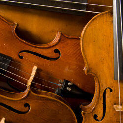 String Quartet & Quintet